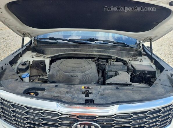 5XYP34HC8LG035976 2020 KIA TELLURIDE White Engine compartment view