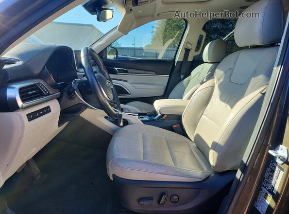 5XYP34HC9LG002274 2020 KIA TELLURIDE Коричневый Вид салона спереди