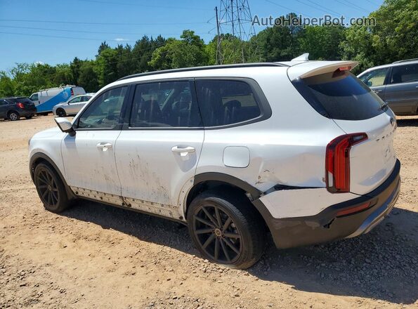 5XYP34HC9LG060918 2020 KIA TELLURIDE White Rear left