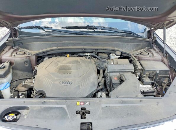 5XYP34HCXLG034053 2020 KIA TELLURIDE Burgundy Rear interior view