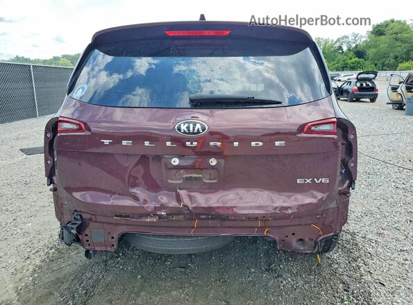 5XYP34HCXLG034053 2020 KIA TELLURIDE Burgundy Rear view