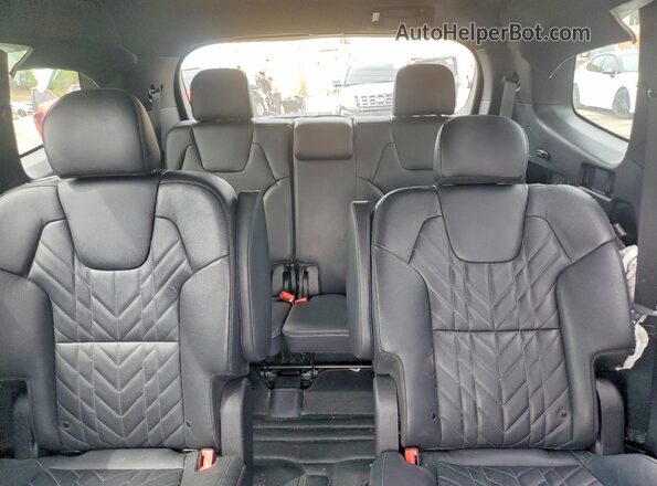 5XYP3DGC1PG340971 2023 KIA TELLURIDE Зеленый Вид задних сидений