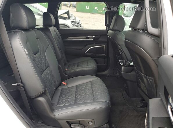 5XYP3DGC1RG463270 2024 KIA TELLURIDE Белый Вид задних сидений