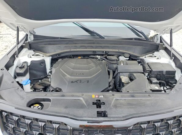 5XYP3DGC1RG463270 2024 KIA TELLURIDE Белый Вид задней части салона