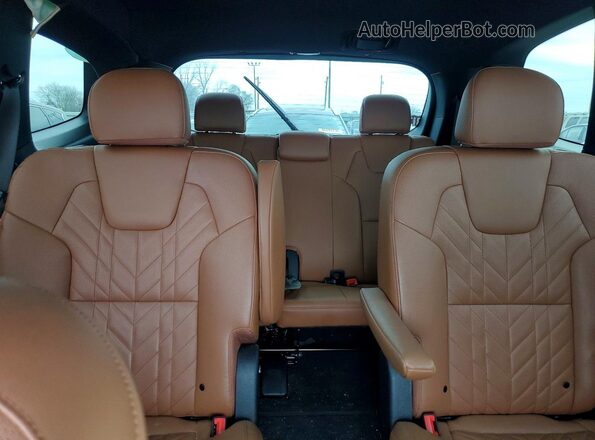 5XYP3DGC1SG579736 2025 KIA TELLURIDE Green Vista de los asientos traseros