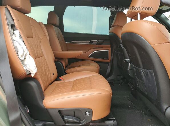 5XYP3DGC1SG579736 2025 KIA TELLURIDE Green Vista interior trasera