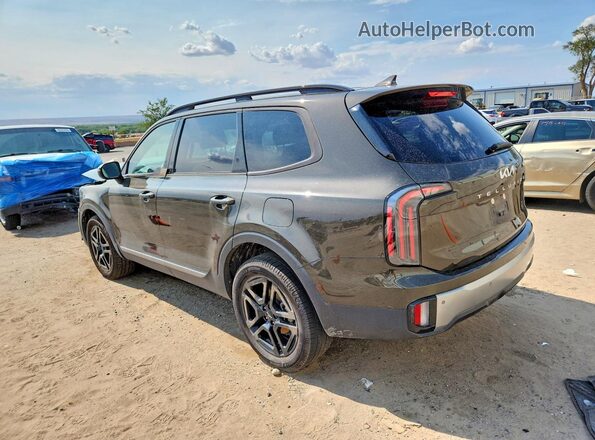 5XYP3DGC2PG410154 2023 KIA TELLURIDE Коричневый Задняя левая четверть