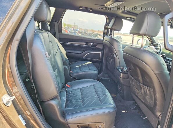 5XYP3DGC2PG410154 2023 KIA TELLURIDE Коричневый Вид задней части салона