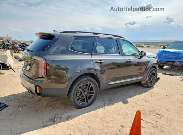 5XYP3DGC2PG410154 2023 KIA TELLURIDE Коричневый Задняя правая четверть