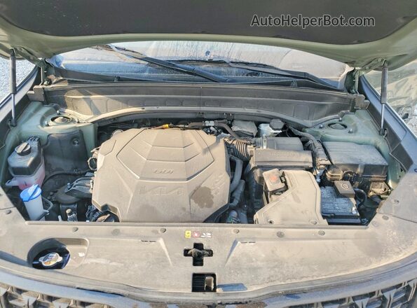 5XYP3DGC4RG476238 2024 KIA TELLURIDE Green Rear interior view