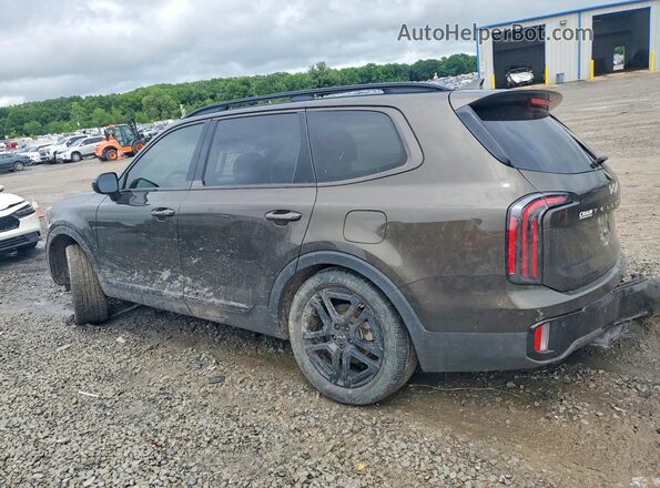 5XYP3DGC4RG519721 2024 KIA TELLURIDE Gray Հետևի ձախ