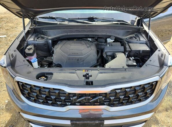 5XYP3DGC5PG343422 2023 KIA TELLURIDE Gray Vista del compartimento del motor