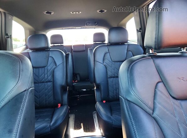 5XYP3DGC5SG604850 2025 KIA TELLURIDE Green Vista de los asientos traseros
