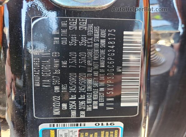 5XYP3DGC6PG348175 2023 KIA TELLURIDE Black 360 interior view
