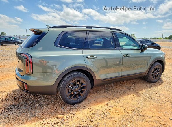 5XYP3DGC9SG674755 2025 KIA TELLURIDE Green Հետևի աջ