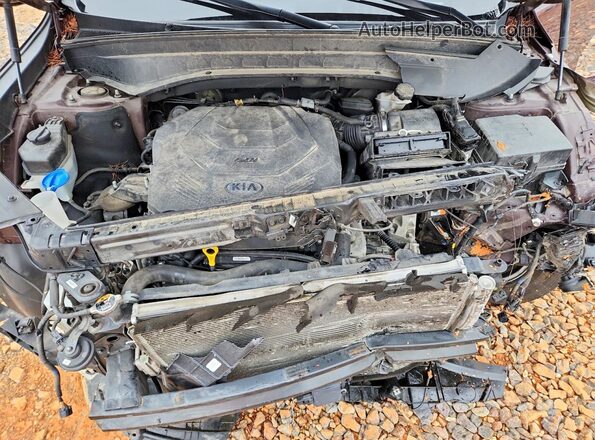 5XYP3DHC0LG024938 2020 KIA TELLURIDE Maroon Вид підкапотного простору