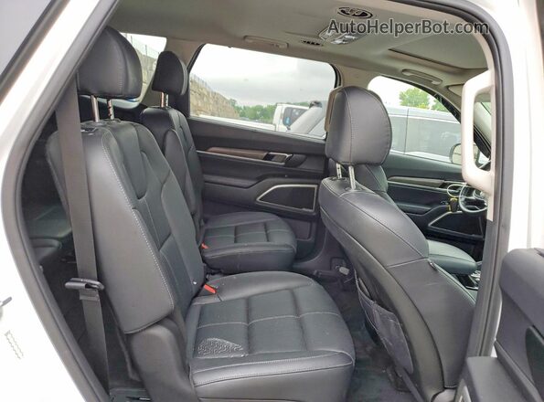 5XYP3DHC1LG056877 2020 KIA TELLURIDE White Вид задньої частини салону