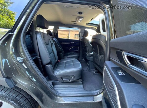 5XYP3DHC1LG085392 2020 KIA TELLURIDE Green Հետևի տեսք
