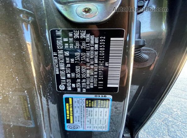 5XYP3DHC1LG085392 2020 KIA TELLURIDE Green Հետևի նստատեղերի տեսք