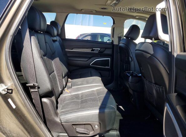 5XYP3DHC4LG018799 2020 KIA TELLURIDE Brown Սալոնի հետևի տեսք