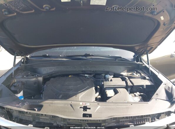 5XYP54GC1RG440680 2024 KIA TELLURIDE Dark Brown უკანა ხედი