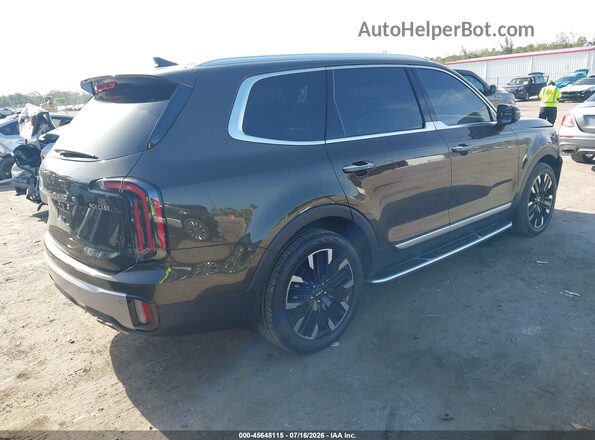 5XYP54GC1RG440680 2024 KIA TELLURIDE Dark Brown უკანა მარჯვენა