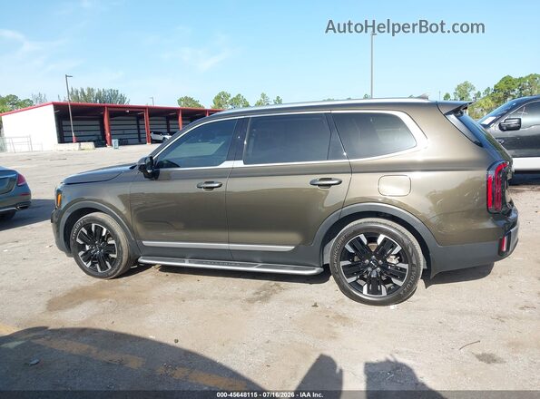 5XYP54GC1RG440680 2024 KIA TELLURIDE Dark Brown სალონის 360-გრადუსიანი ხედი