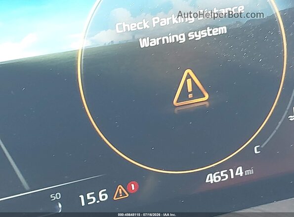 5XYP54GC1RG440680 2024 KIA TELLURIDE Dark Brown 