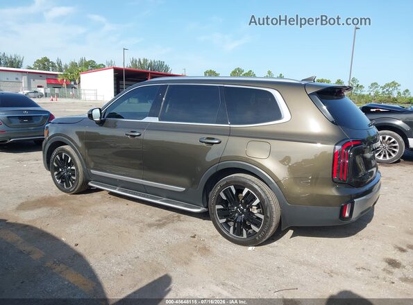 5XYP54GC1RG440680 2024 KIA TELLURIDE Dark Brown უკანა მარცხენა