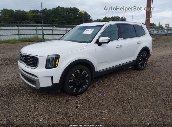5XYP54GCXRG431640 2024 KIA TELLURIDE White Front left