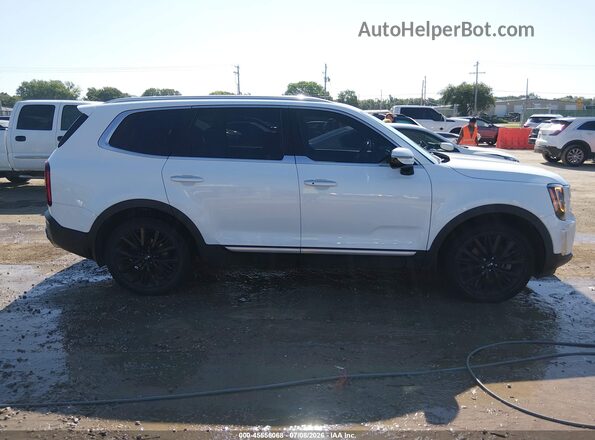 5XYP54HC5LG041454 2020 KIA TELLURIDE White Rear interior view