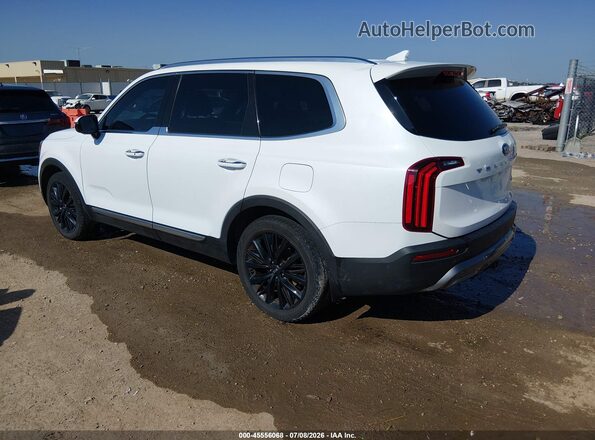 5XYP54HC5LG041454 2020 KIA TELLURIDE White Rear left