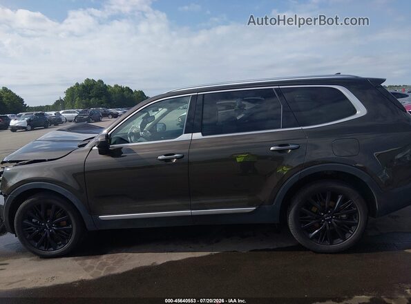 5XYP54HC6NG251516 2022 KIA TELLURIDE Brown 