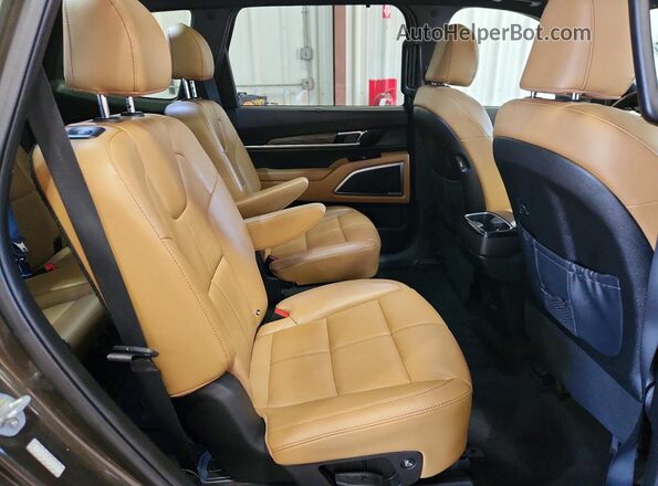 5XYP54HC8LG025944 2020 KIA TELLURIDE Зеленый Вид задней части салона