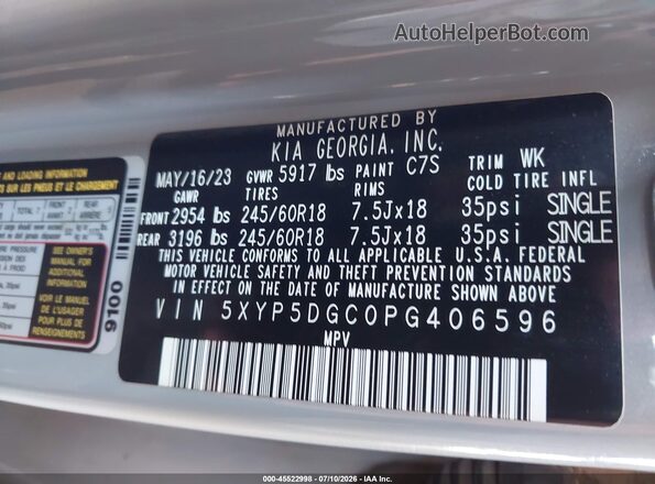 5XYP5DGC0PG406596 2023 KIA TELLURIDE Gray Widok komory silnika