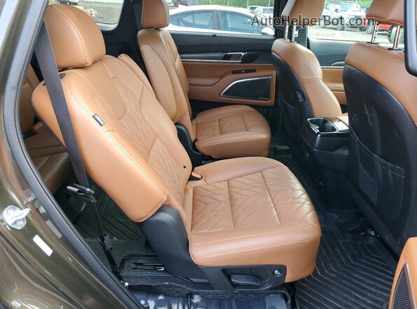 5XYP5DGC2RG471548 2024 KIA TELLURIDE Зеленый Вид задней части салона