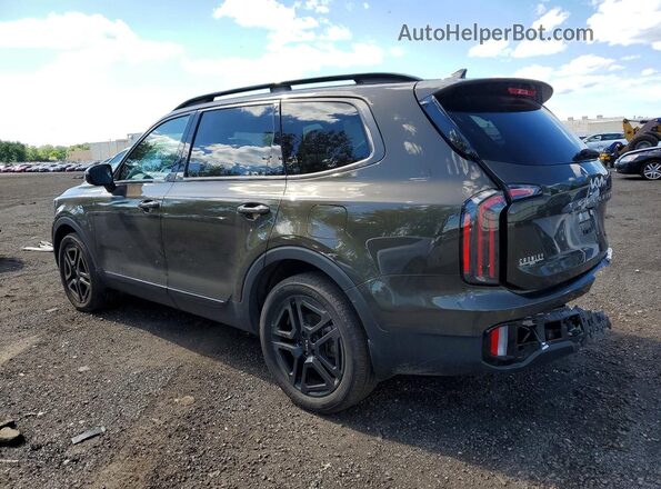 5XYP5DGC2RG471548 2024 KIA TELLURIDE Зеленый Задняя левая четверть