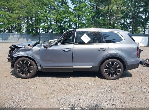 5XYP5DGC3PG330081 2023 KIA TELLURIDE Silver Панорамний вид салону 360°