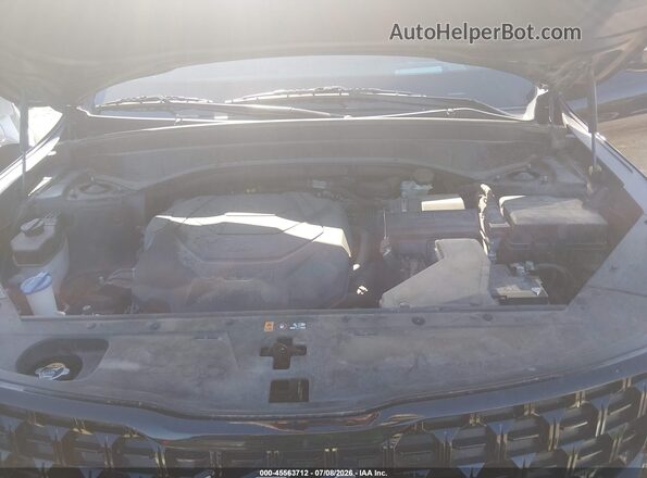 5XYP5DGC3RG436663 2024 KIA TELLURIDE Black Widok z tyłu