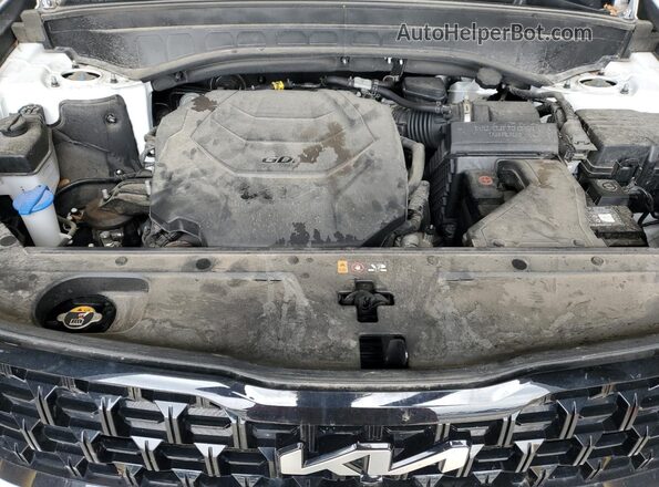 5XYP5DGC3RG471252 2024 KIA TELLURIDE White Engine compartment view