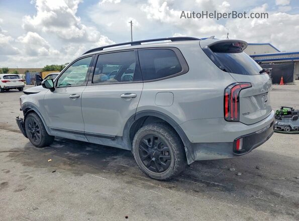 5XYP5DGC4RG492966 2024 KIA TELLURIDE Gray Հետևի ձախ