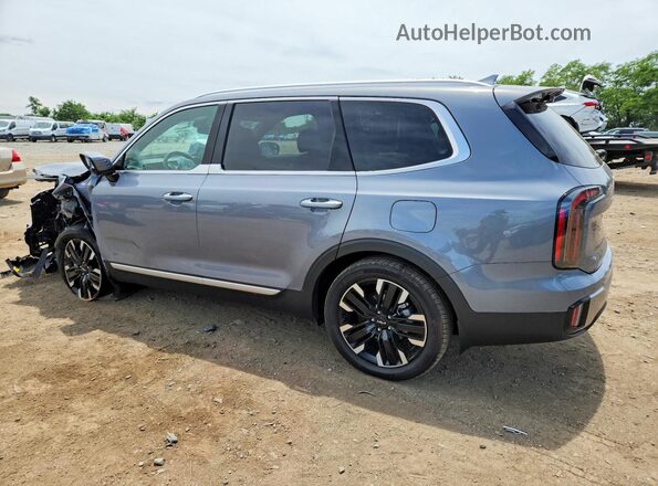 5XYP5DGC4SG635212 2025 KIA TELLURIDE Gray Tył lewy
