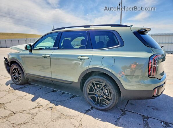 5XYP5DGC4SG683325 2025 KIA TELLURIDE Green Tył lewy