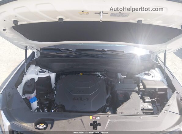5XYP5DGC4SG691120 2025 KIA TELLURIDE Белый Вид сзади