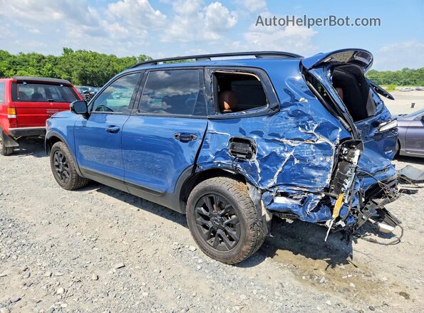 5XYP5DGC6PG344976 2023 KIA TELLURIDE Blue Trasero izquierdo