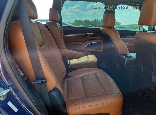 5XYP5DGC6PG344976 2023 KIA TELLURIDE Blue Vista interior trasera