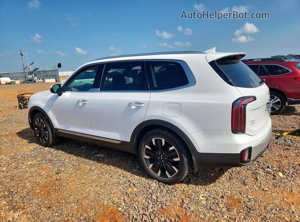 5XYP5DGC6RG493021 2024 KIA TELLURIDE White Задня ліва чверть