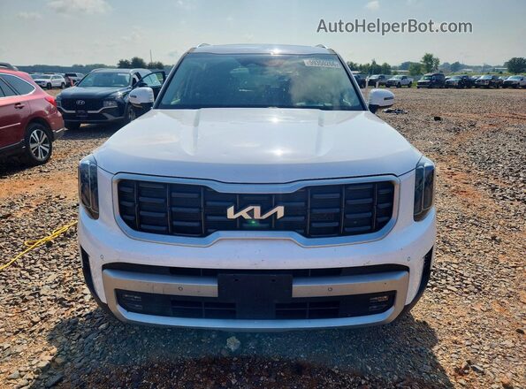 5XYP5DGC6RG493021 2024 KIA TELLURIDE White Вид спереду