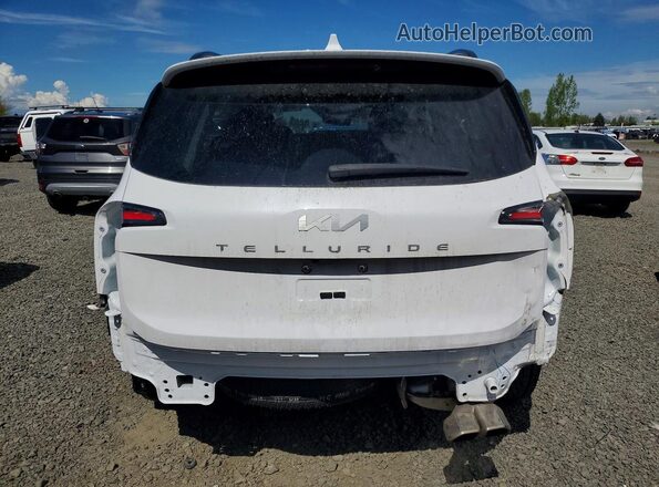 5XYP5DGC6RG533078 2024 KIA TELLURIDE White Widok z tyłu