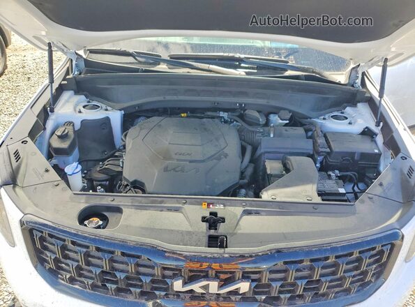 5XYP5DGC6RG533078 2024 KIA TELLURIDE White Widok komory silnika
